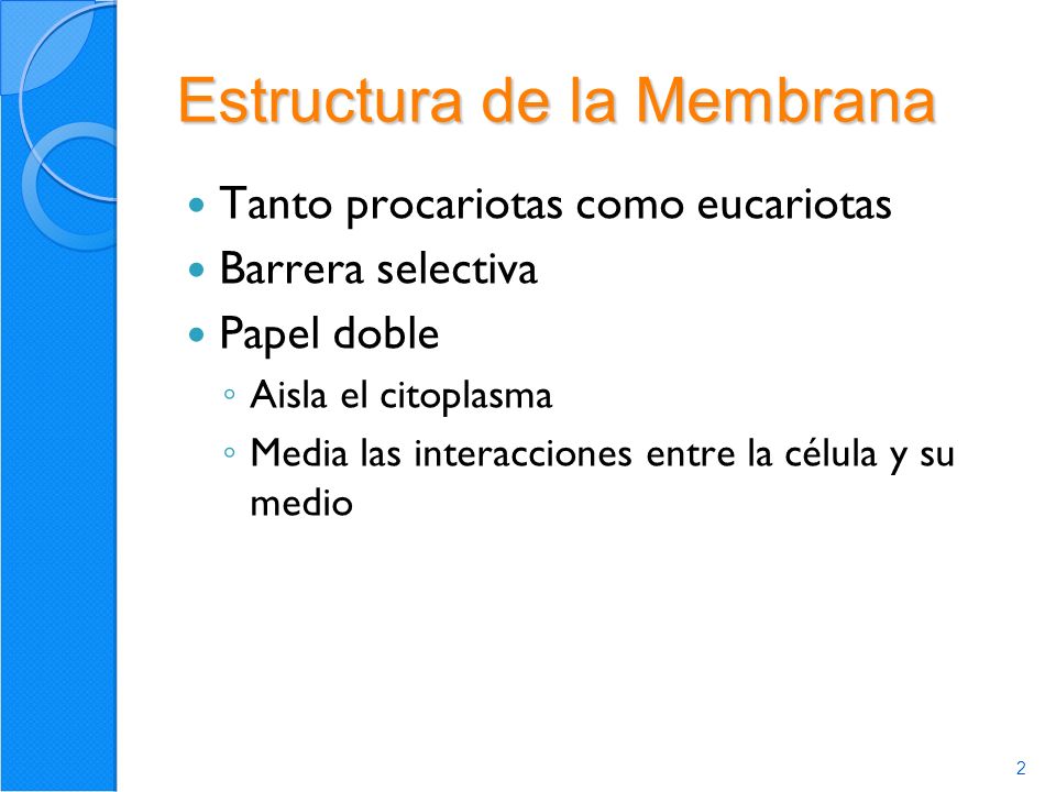 Estructura de la Membrana