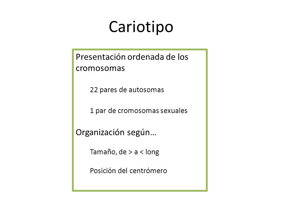 Cariotipo Presentación ordenada de los cromosomas Organización según…