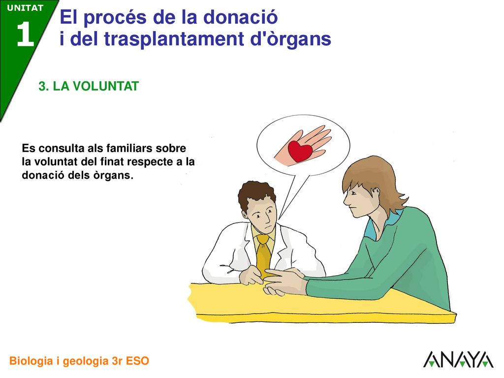 3. LA VOLUNTAT Es consulta als familiars sobre la voluntat del finat respecte a la donació dels òrgans.