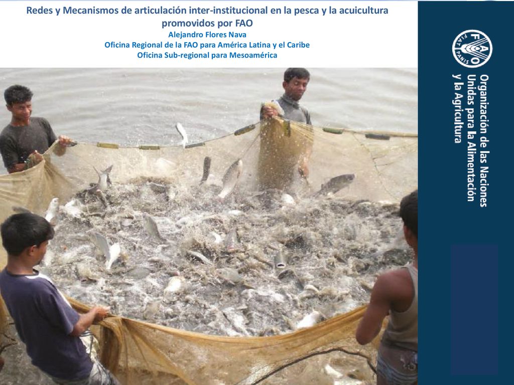 Redes y Mecanismos de articulación inter-institucional en la pesca y la acuicultura promovidos por FAO