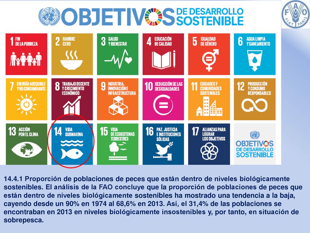 Proporción de poblaciones de peces que están dentro de niveles biológicamente sostenibles.