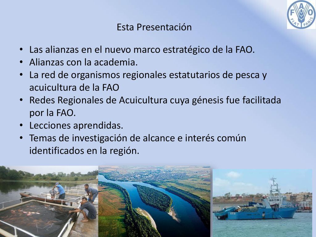 Esta Presentación Las alianzas en el nuevo marco estratégico de la FAO. Alianzas con la academia.