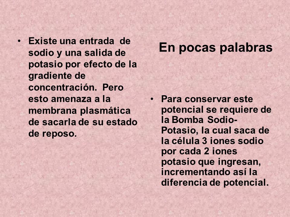 Existe una entrada de sodio y una salida de potasio por efecto de la gradiente de concentración. Pero esto amenaza a la membrana plasmática de sacarla de su estado de reposo.