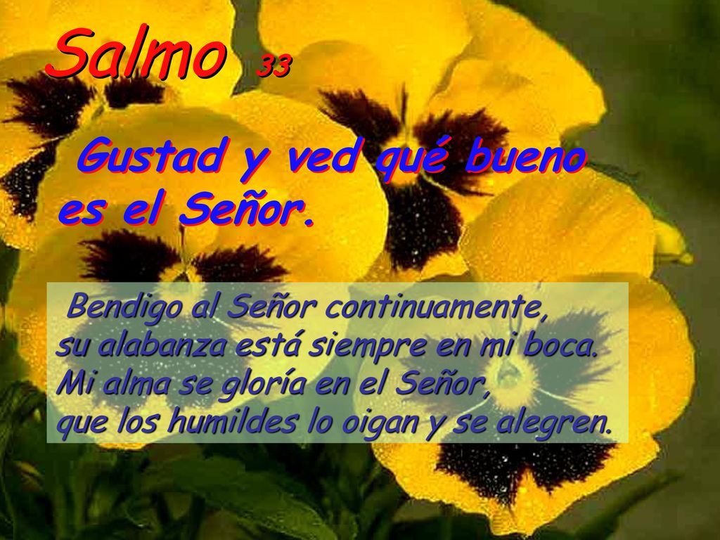 Salmo 33 Gustad y ved qué bueno es el Señor.