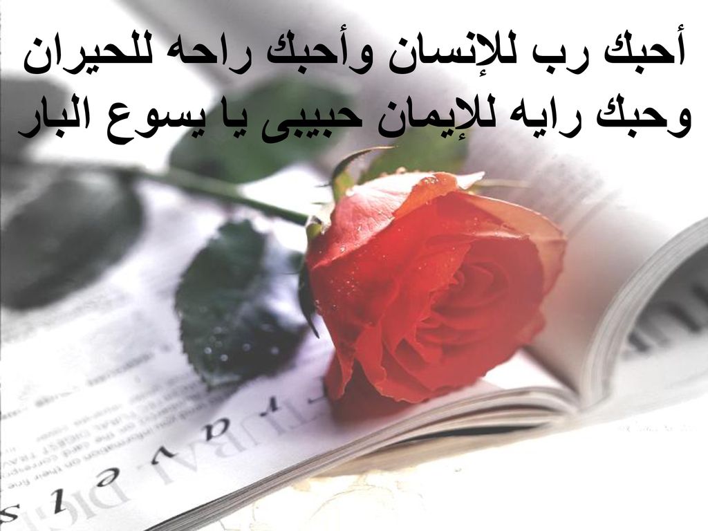 أحبك رب للإنسان وأحبك راحه للحيران وحبك رايه للإيمان حبيبى يا يسوع البار