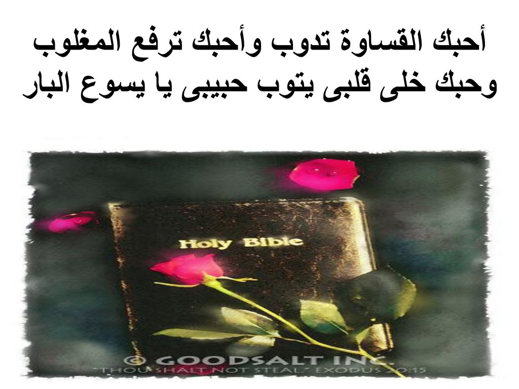أحبك القساوة تدوب وأحبك ترفع المغلوب وحبك خلى قلبى يتوب حبيبى يا يسوع البار