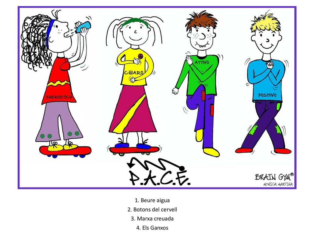 1. Beure aigua 2. Botons del cervell 3. Marxa creuada 4. Els Ganxos