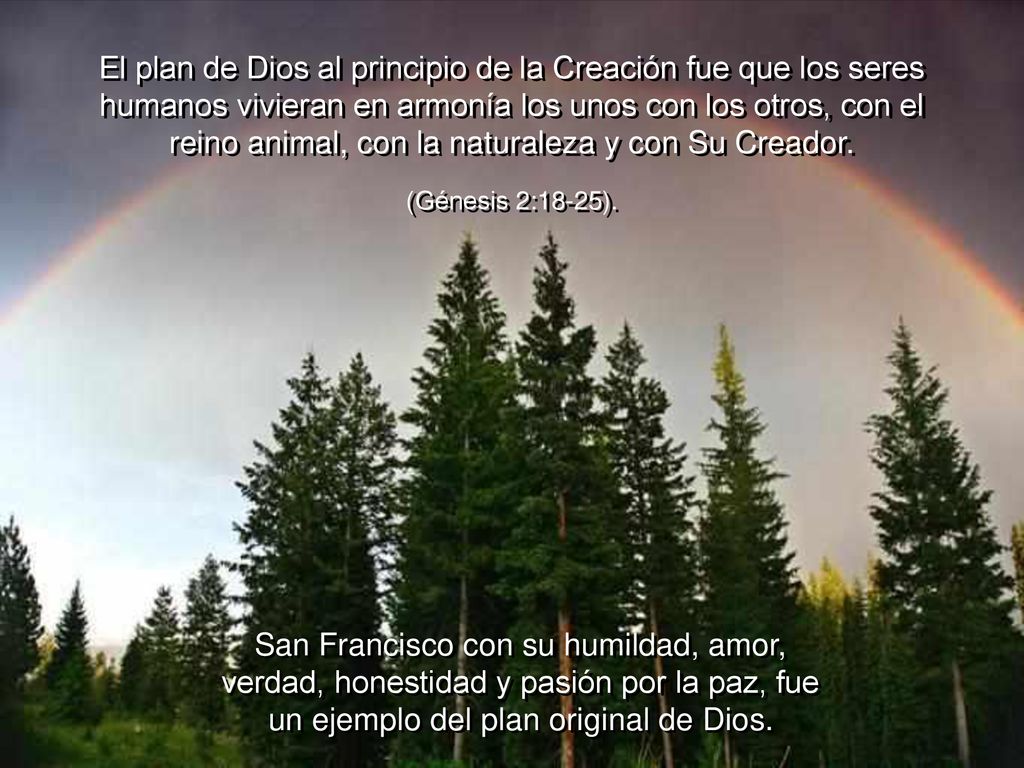 El plan de Dios al principio de la Creación fue que los seres humanos vivieran en armonía los unos con los otros, con el reino animal, con la naturaleza y con Su Creador.