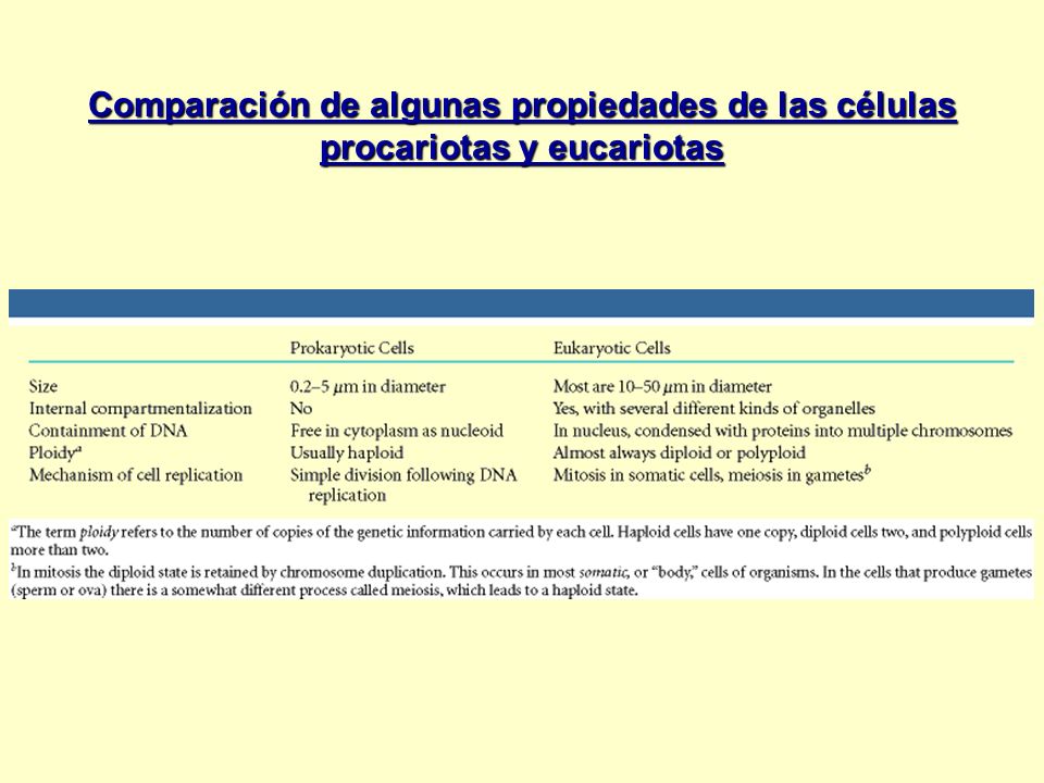 Comparación de algunas propiedades de las células procariotas y eucariotas