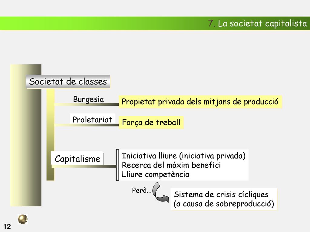 7. La societat capitalista