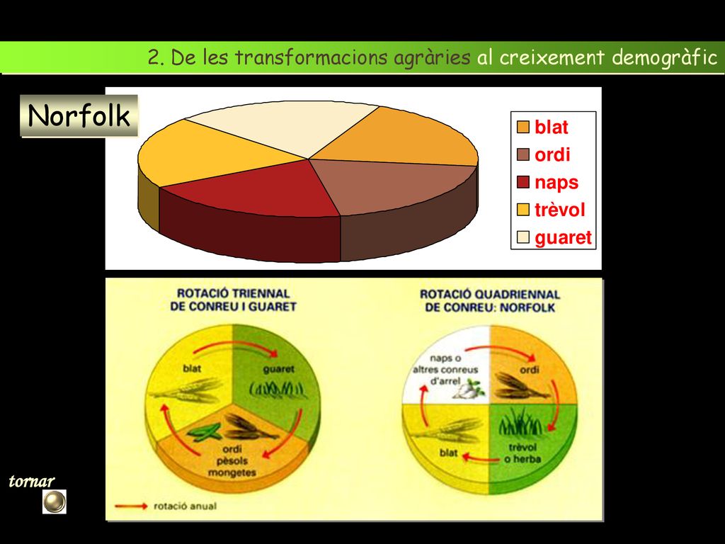 Norfolk 2. De les transformacions agràries al creixement demogràfic