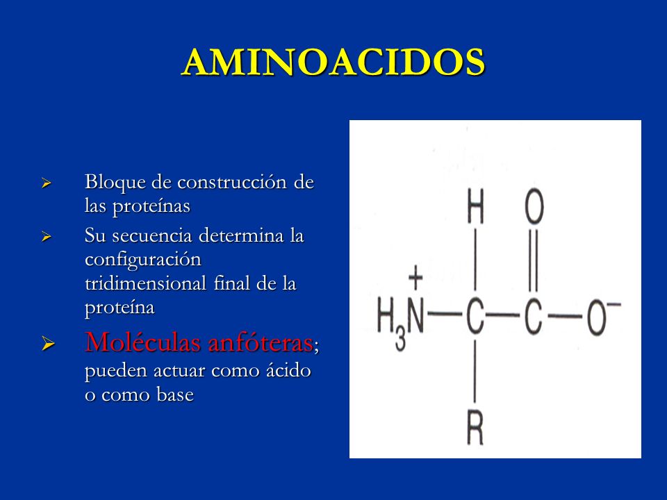 AMINOACIDOS Moléculas anfóteras; pueden actuar como ácido o como base