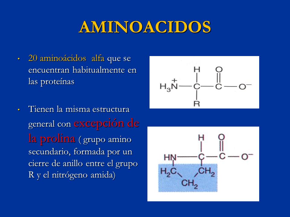 AMINOACIDOS 20 aminoácidos alfa que se encuentran habitualmente en las proteínas.