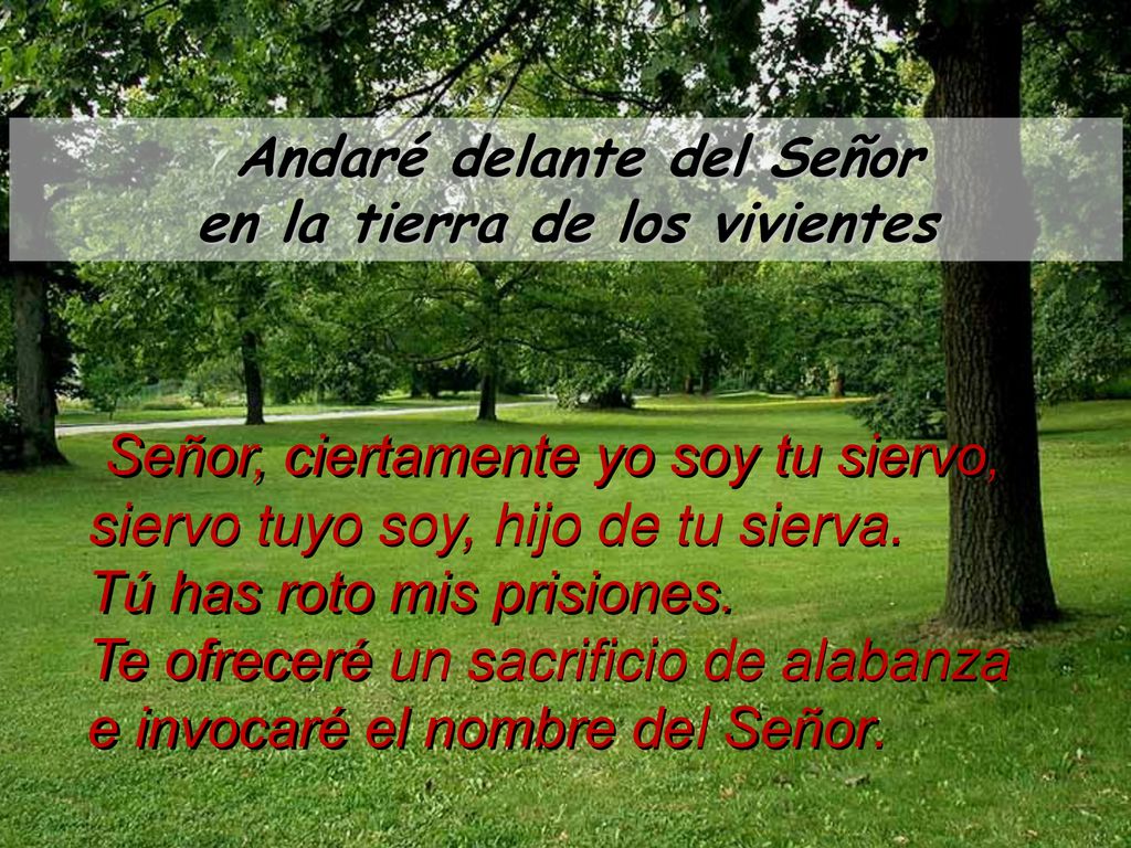 Andaré delante del Señor en la tierra de los vivientes