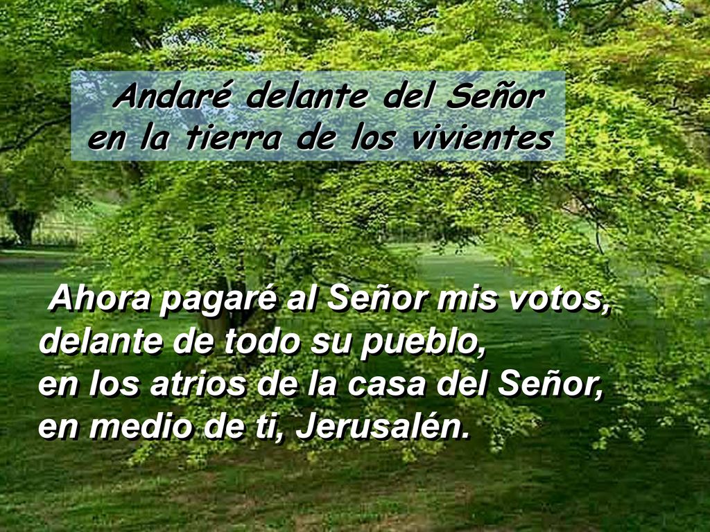 Andaré delante del Señor en la tierra de los vivientes