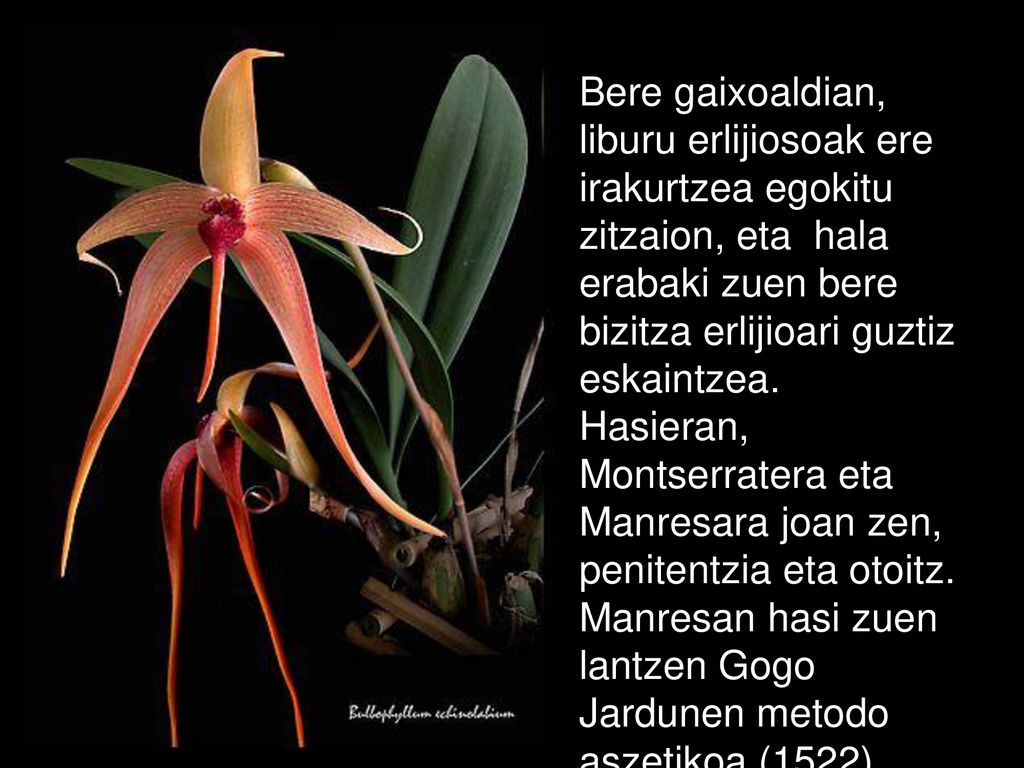 Bere gaixoaldian, liburu erlijiosoak ere irakurtzea egokitu zitzaion, eta hala erabaki zuen bere bizitza erlijioari guztiz eskaintzea.