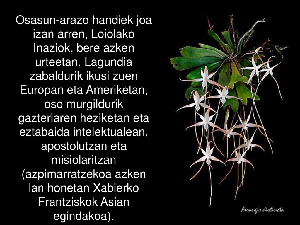 Osasun-arazo handiek joa izan arren, Loiolako Inaziok, bere azken urteetan, Lagundia zabaldurik ikusi zuen Europan eta Ameriketan, oso murgildurik gazteriaren heziketan eta eztabaida intelektualean, apostolutzan eta misiolaritzan (azpimarratzekoa azken lan honetan Xabierko Frantziskok Asian egindakoa).