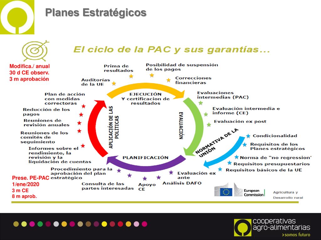 Planes Estratégicos Modifica./ anual 30 d CE observ. 3 m aprobación