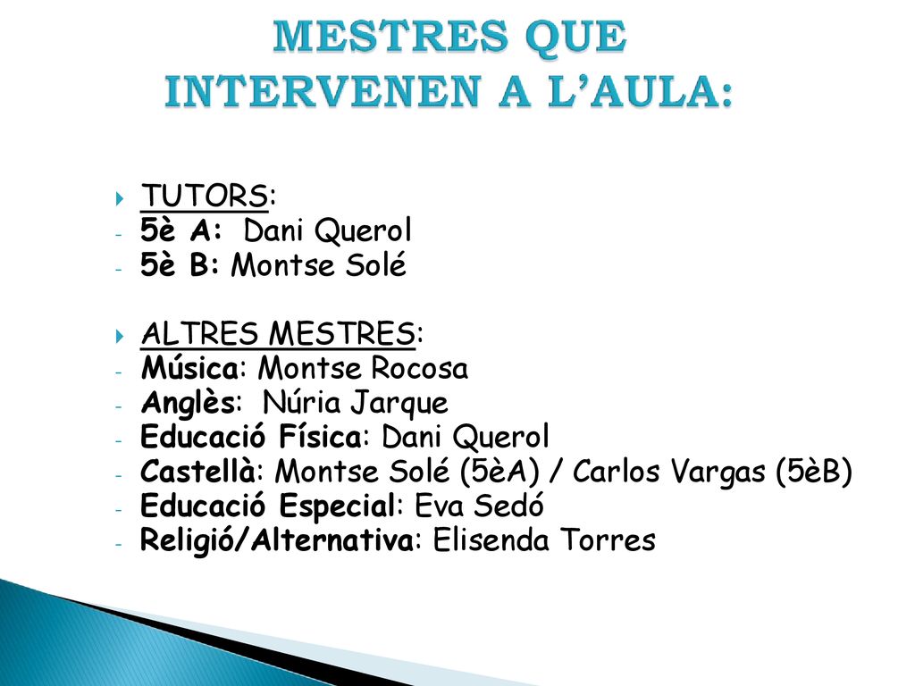 TUTORS: 5è A: Dani Querol. 5è B: Montse Solé. ALTRES MESTRES: Música: Montse Rocosa. Anglès: Núria Jarque.