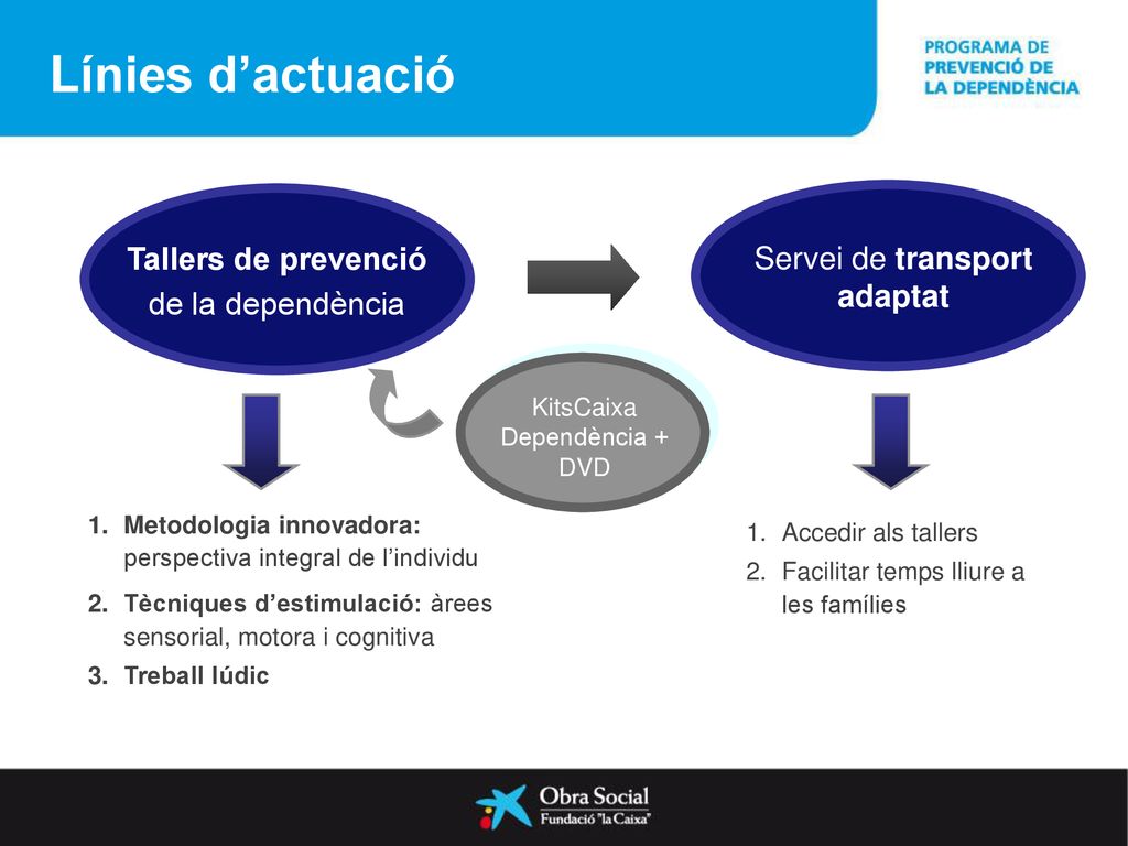 Línies d’actuació Servei de transport adaptat Tallers de prevenció