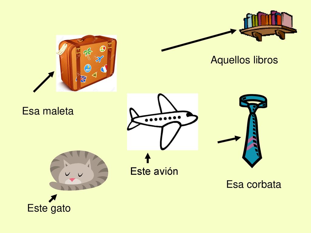 Aquellos libros Esa maleta Este avión Esa corbata Este gato