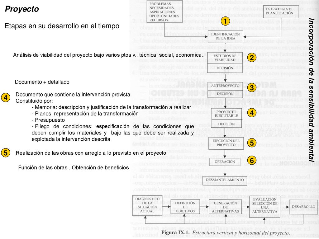 Proyecto Etapas en su desarrollo en el tiempo 2 3