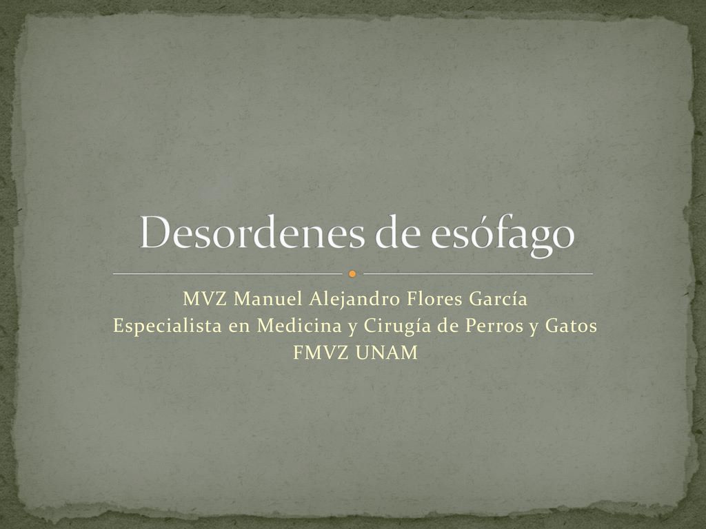 Desordenes de esófago MVZ Manuel Alejandro Flores García