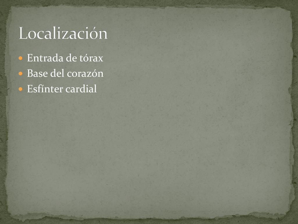 Localización Entrada de tórax Base del corazón Esfínter cardial