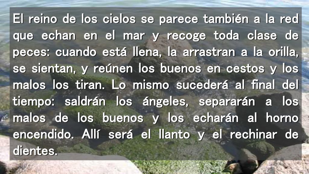 El reino de los cielos se parece también a la red que echan en el mar y recoge toda clase de peces: cuando está llena, la arrastran a la orilla, se sientan, y reúnen los buenos en cestos y los malos los tiran.