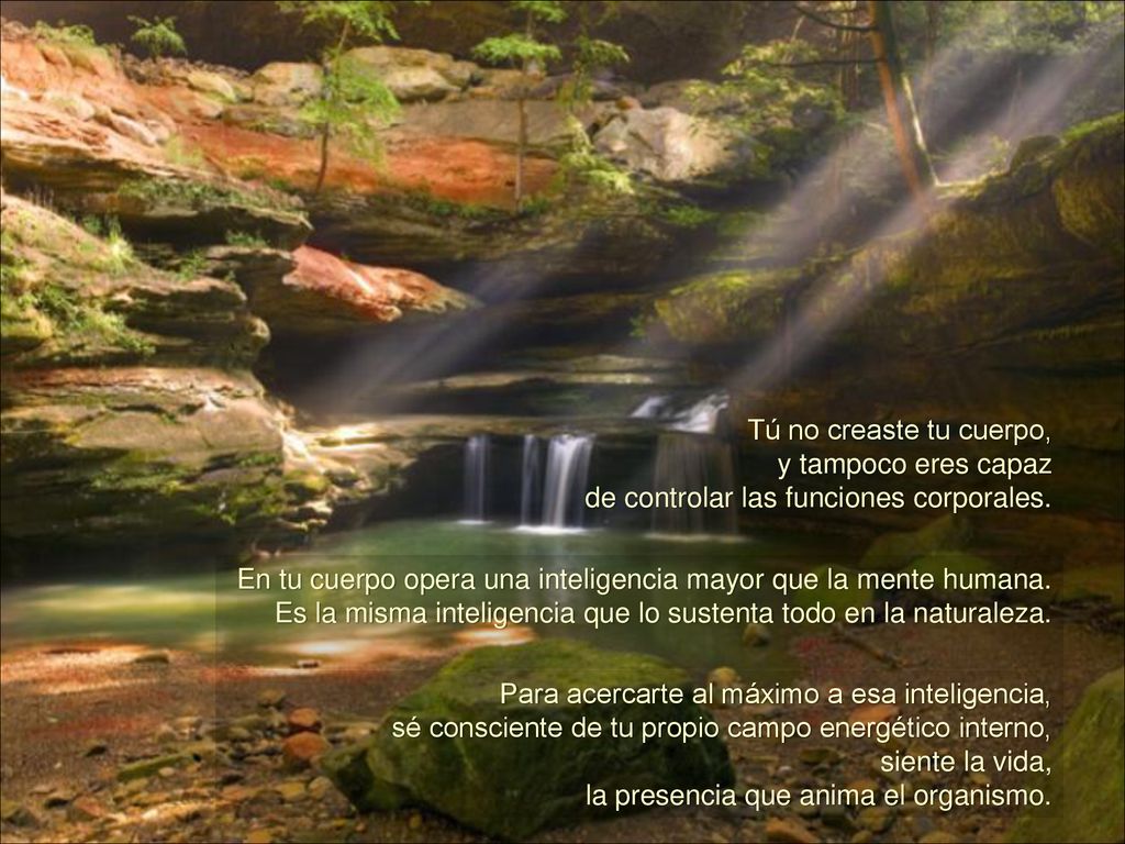 Tú no creaste tu cuerpo, y tampoco eres capaz. de controlar las funciones corporales.