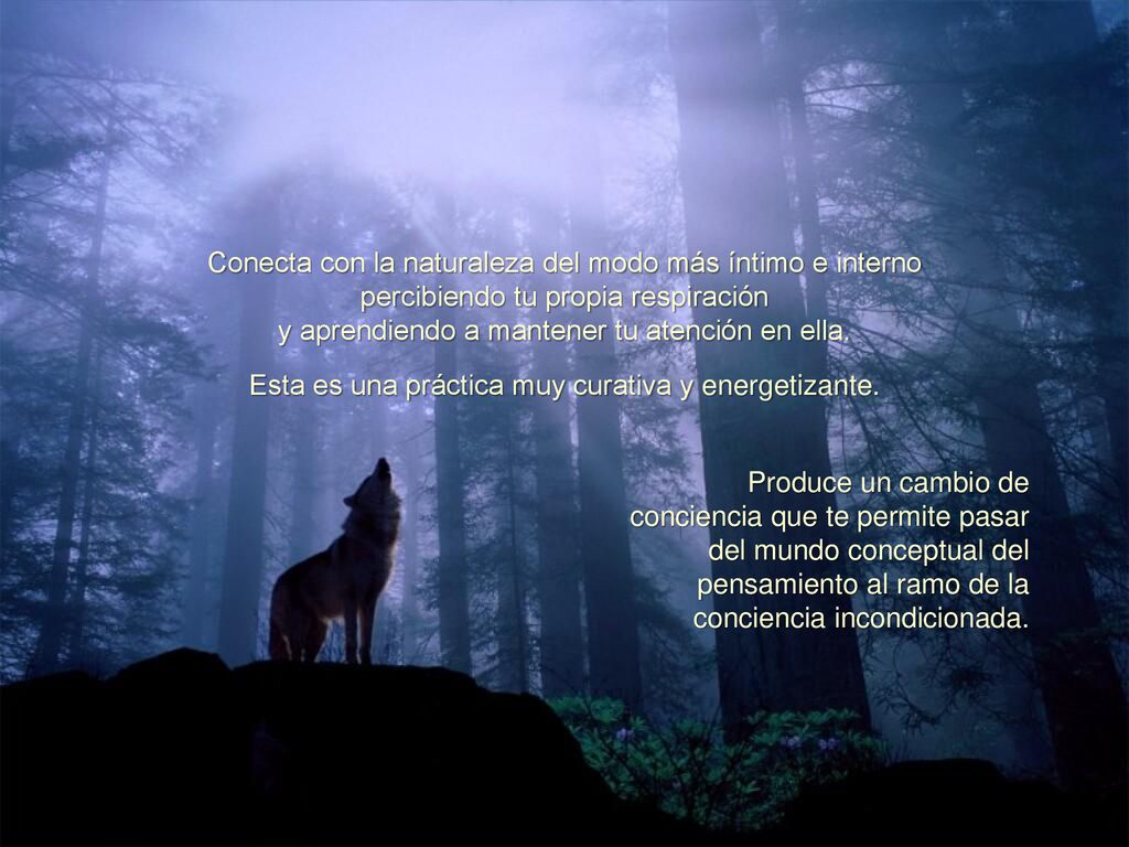 Conecta con la naturaleza del modo más íntimo e interno