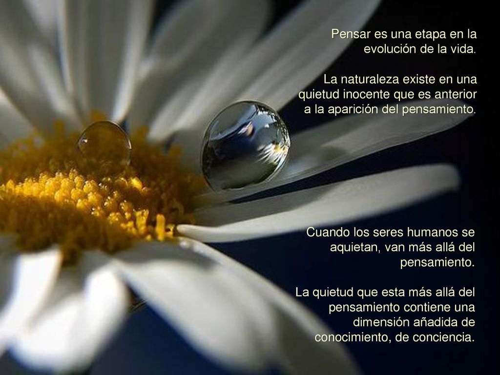 Pensar es una etapa en la evolución de la vida.