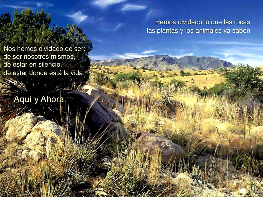Aquí y Ahora. Hemos olvidado lo que las rocas,