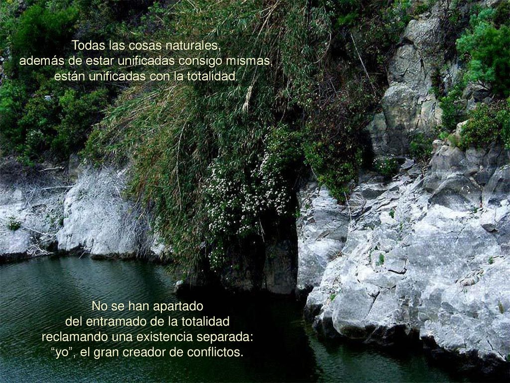 Todas las cosas naturales, además de estar unificadas consigo mismas,