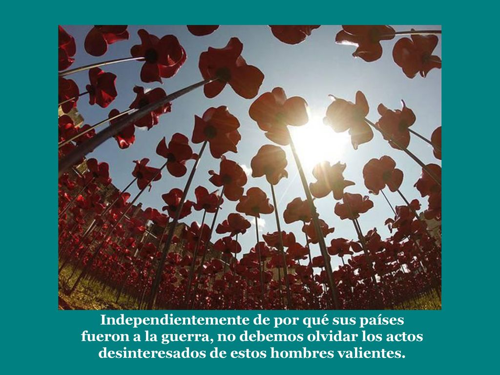 Independientemente de por qué sus países fueron a la guerra, no debemos olvidar los actos desinteresados ​​de estos hombres valientes.