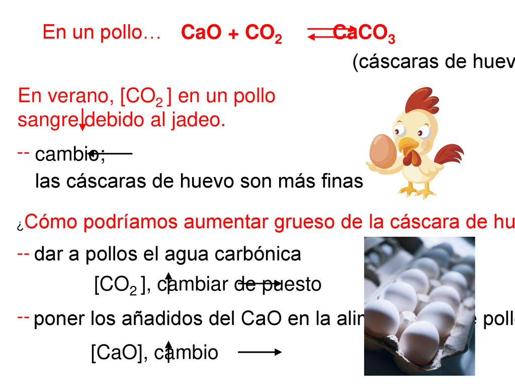 En verano, [CO2 ] en un pollo sangre debido al jadeo.