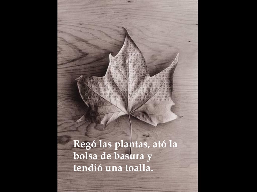 Regó las plantas, ató la bolsa de basura y tendió una toalla.