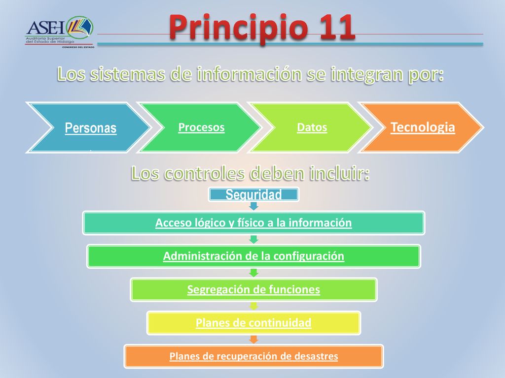 Principio 11 Los sistemas de información se integran por: