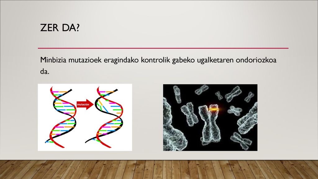 Zer da Minbizia mutazioek eragindako kontrolik gabeko ugalketaren ondoriozkoa da.