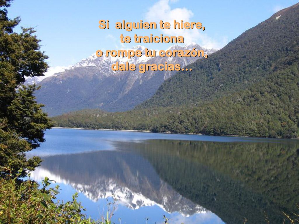 Si alguien te hiere, te traiciona o rompe tu corazón, dale gracias…