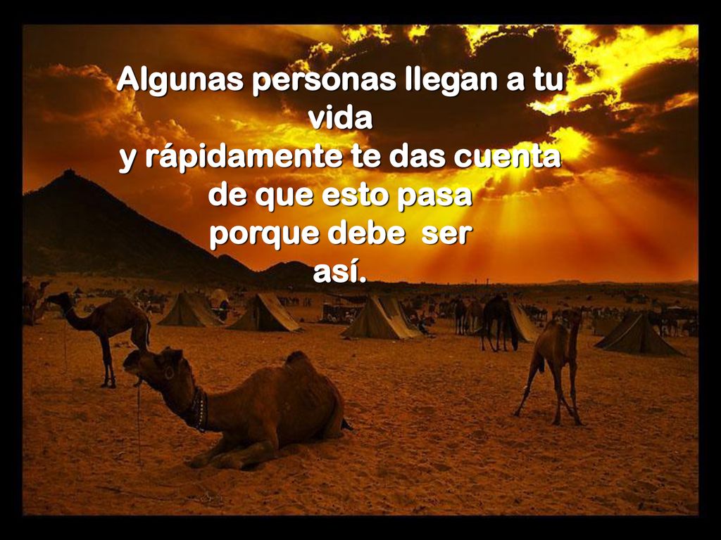 Algunas personas llegan a tu y rápidamente te das cuenta