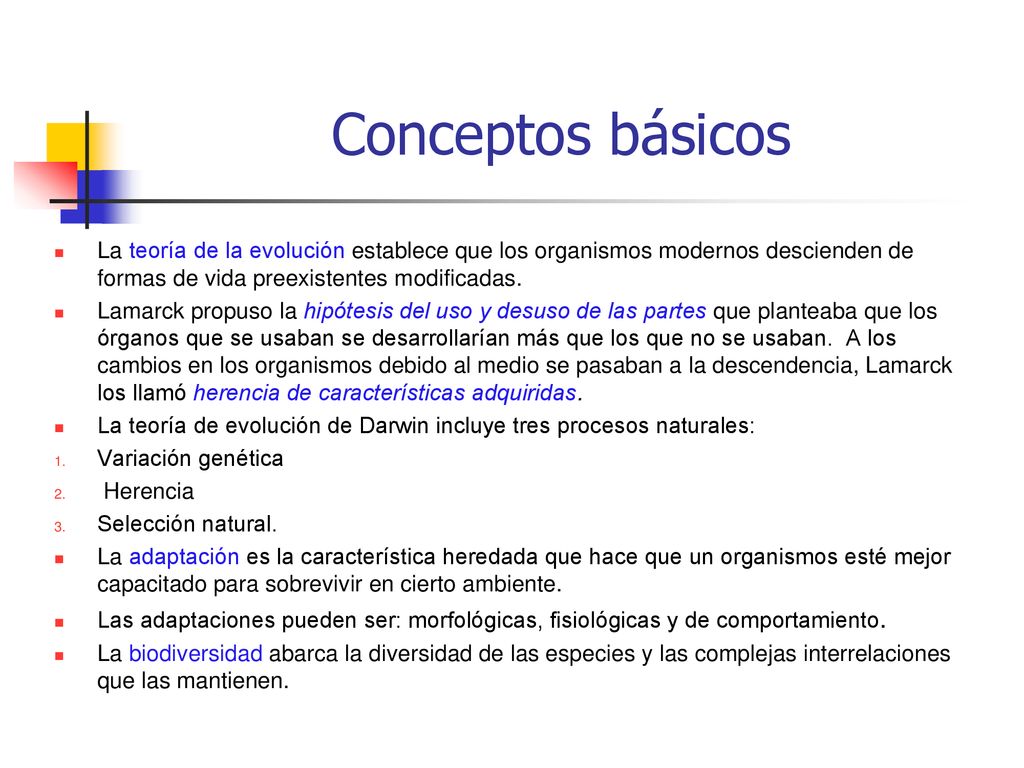Conceptos básicos La teoría de la evolución establece que los organismos modernos descienden de formas de vida preexistentes modificadas.