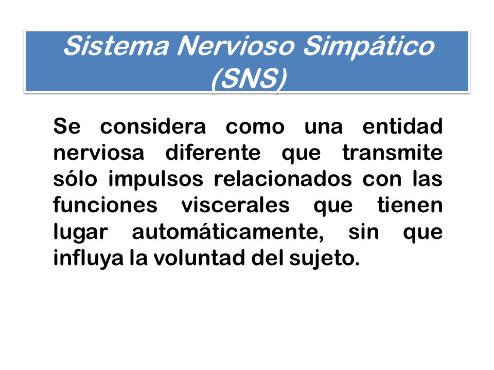 Sistema Nervioso Simpático (SNS)