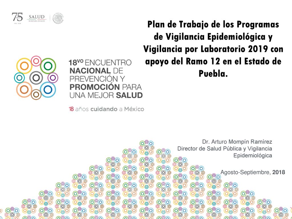 Plan de Trabajo de los Programas de Vigilancia Epidemiológica y Vigilancia por Laboratorio 2019 con apoyo del Ramo 12 en el Estado de Puebla.