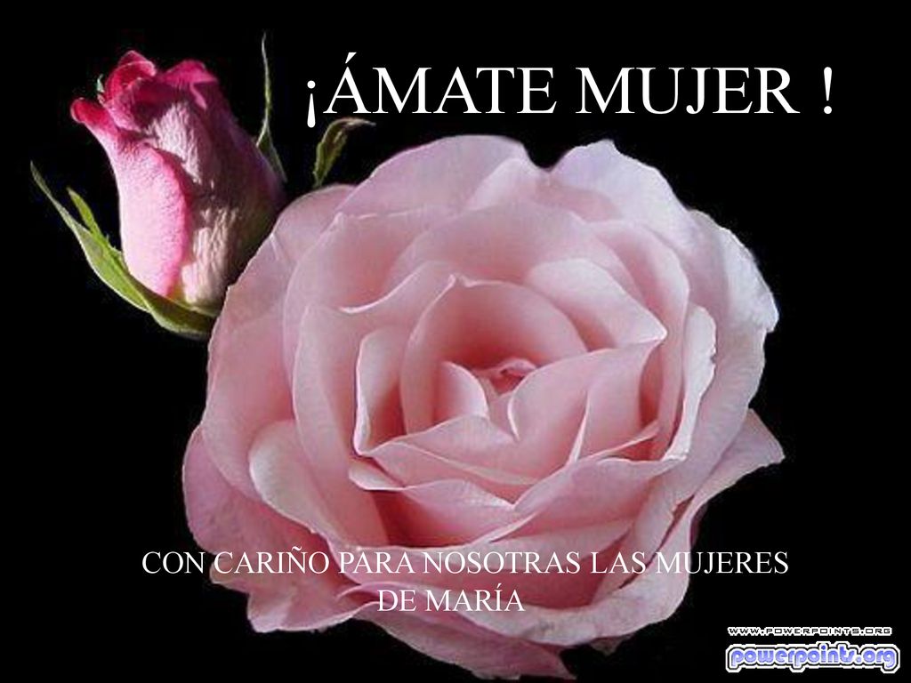 ¡ÁMATE MUJER ! ¡ ÁMATE MUJER ! CON CARIÑO PARA NOSOTRAS LAS MUJERES