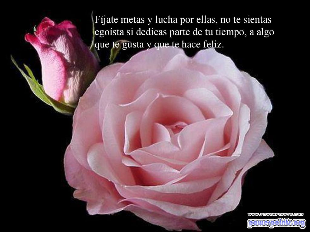 Fíjate metas y lucha por ellas, no te sientas