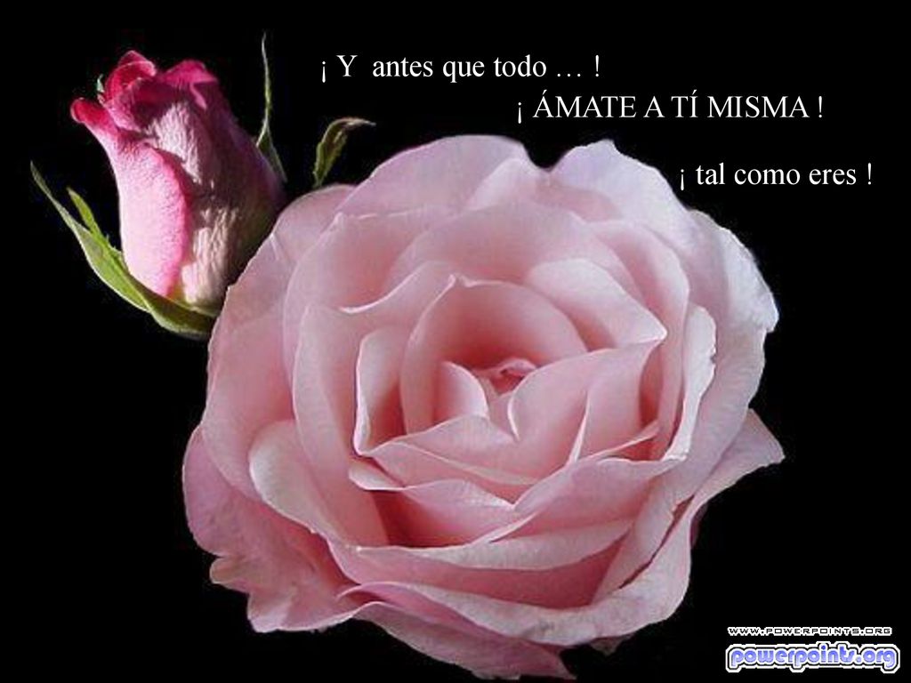 ¡ Y antes que todo … ! ¡ ÁMATE A TÍ MISMA ! ¡ tal como eres ! MHC