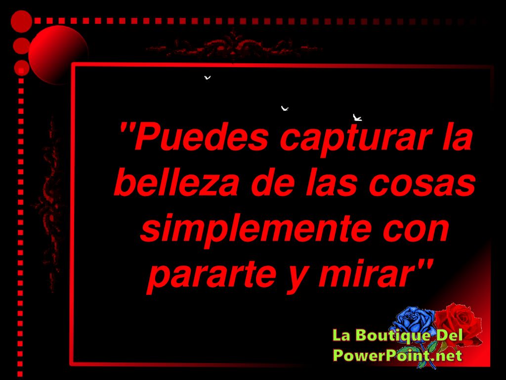 Puedes capturar la belleza de las cosas simplemente con pararte y mirar