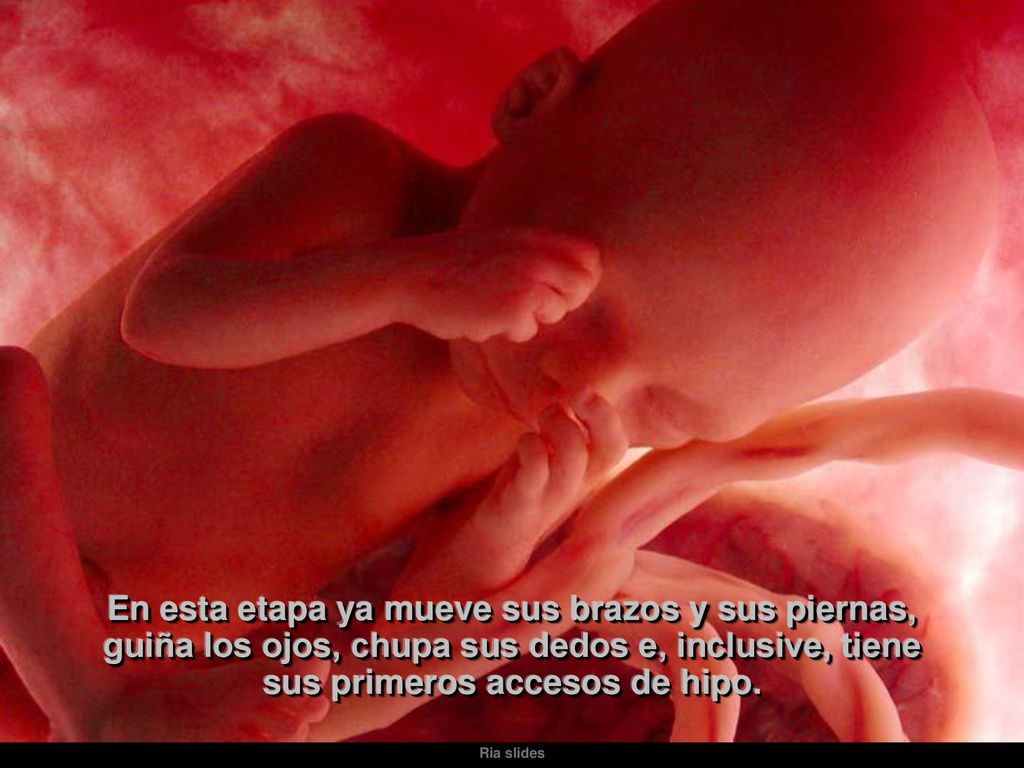 En esta etapa ya mueve sus brazos y sus piernas, guiña los ojos, chupa sus dedos e, inclusive, tiene sus primeros accesos de hipo.