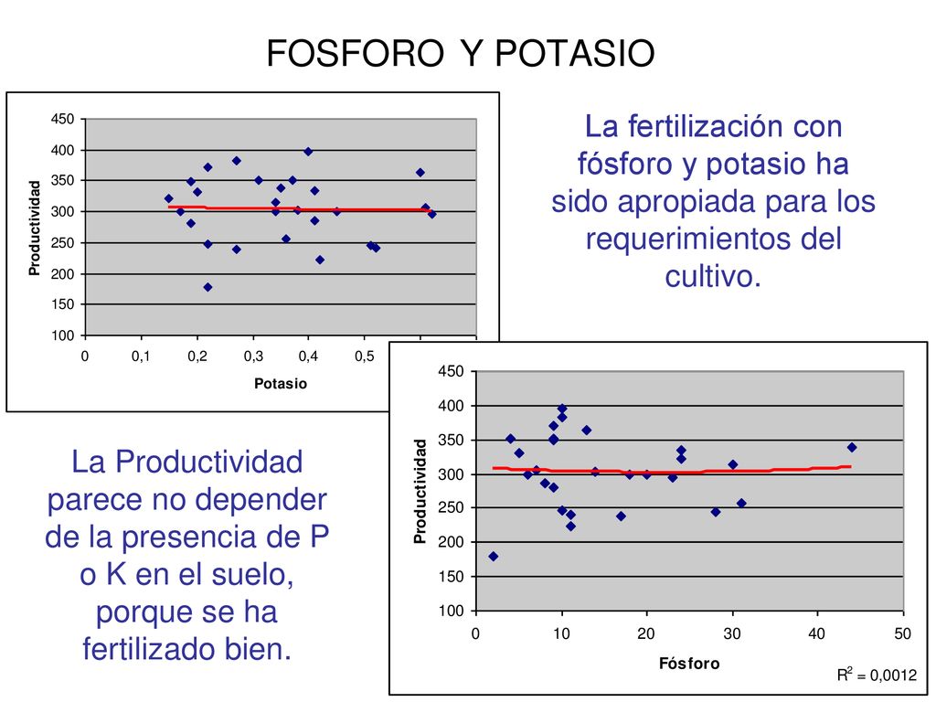 FOSFORO Y POTASIO La fertilización con fósforo y potasio ha sido apropiada para los requerimientos del cultivo.